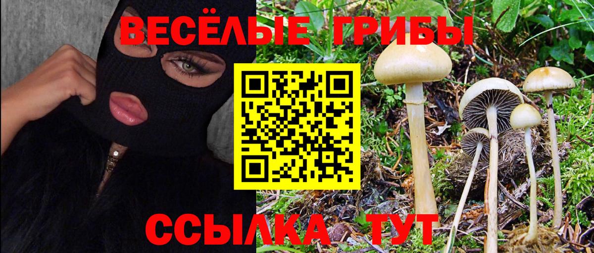 Тара  Галлюциногенные грибы мухоморы  Вход с VPN 