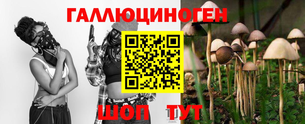 Галлюциногенные грибы мицелий Тара
